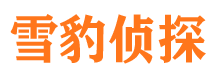 白沙侦探公司